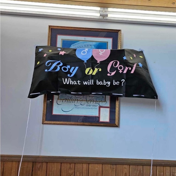 Gender Reveal Balloon Drop Polyester Bag W/String - Picture 2 of 2